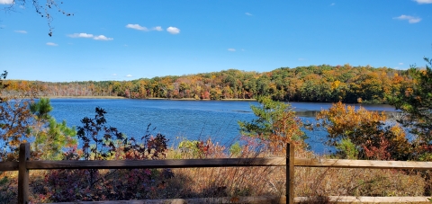 View across a waterbody lined with trees in fall foliage. A wooden fence sits in the foreground