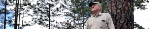 Charley Tarver stands in a longleaf pine forest.