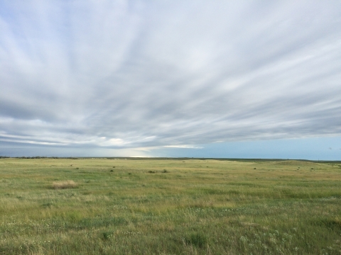 A hilly grassy landscape under a blue sky