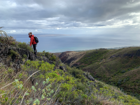 A person in a red jacket standing at the top of a mountain overlooking a gulch and the ocean.