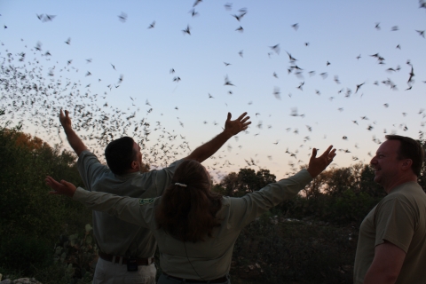 A crowd of people with their arms open stand in front of a flock of bats at dusk 