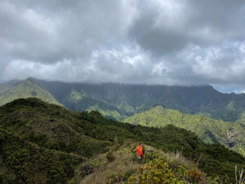 Game survey researcher hikes rough terrain placing game cameras and conducting sign surveys. 