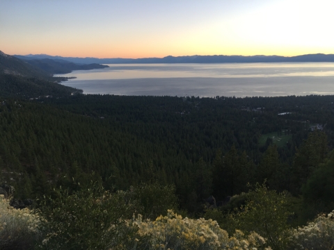 A large glossy lake at sunset surrounded by forest and yellow flowers