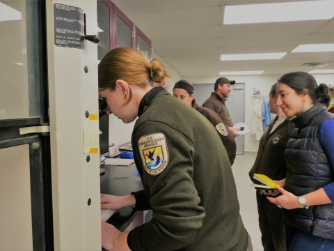 Woman in usfws uniform looks through microscope