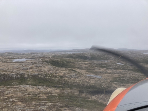 aerial view of wetlands and forest