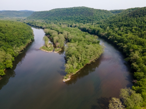 An aerial photo of a lush green forest in the background with two rivers joining in the foreground. 