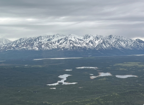 landscape with snow capped mountains in the distance