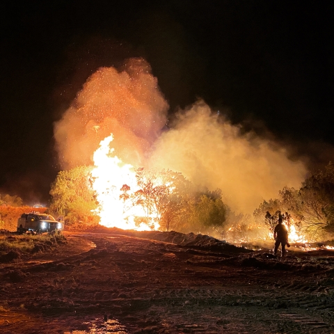 A fire burns in the night. There is a firefighter standing to the right of the burn.