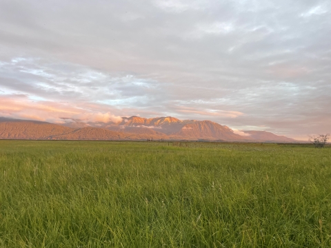 mountains and prairie