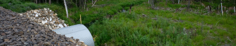 A banner image of a culvert at Cripple Creek.