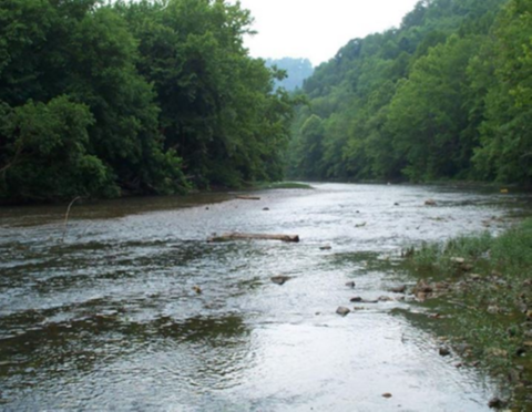 River water running between two banks of green trees under white cloudy sky 