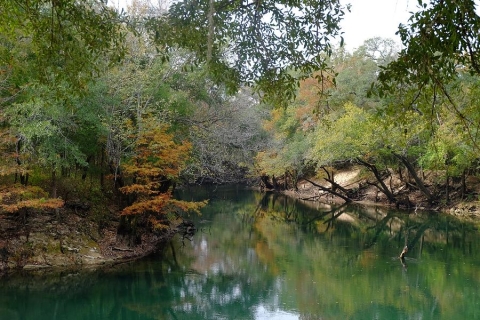 Chipola River