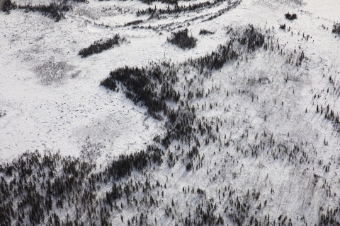 Aerial view of Yukon Flats Landscape and Boreal forest