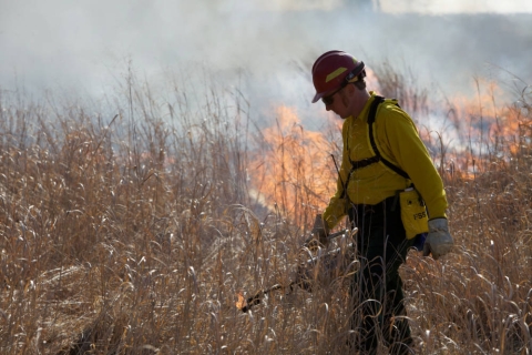 person wearing yellow shirt and red hard hat walking through grass with drip torch and fire behind them