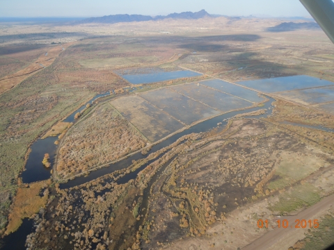 View from a plane of a patchwork of wetlands in a desert landscape.