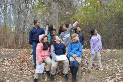 a group of children in a forest look and point up in the sky with awe, presumably because they're looking at a bird or other wildlife