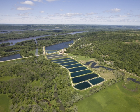 Backwaters of the Mississippi River with 20 hatchery ponds.