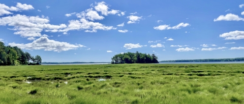 New England tidal marsh on a sunny day along the coast