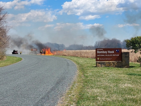 USFWS Prescribed fire specialist conduct a burn on Bombay Hook NWR