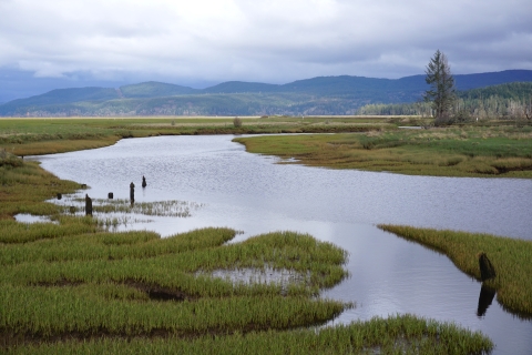 Wetland waterway meanders through greenery, with hills in the background on an overcast day.