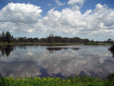 blue sky and white clouds reflected in wetland