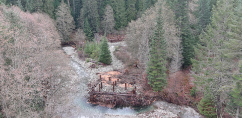 An aerial view of a restoration site, showing a river with water winding around large wooden structures amid a forest of tall trees.