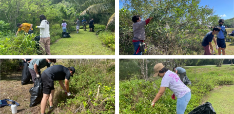 Volunteers remove invasive vines at the Guam National Wildlife Refuge