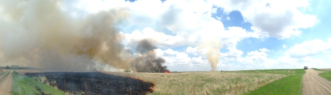 A wide angle shot shows a grassland undergoing a prescribed fire