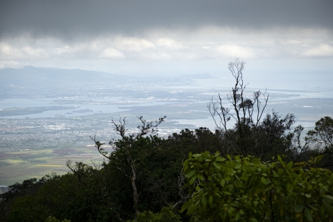 A scenic view of the Oʻahu coastline. Trees from the mountain top sit at the forefront and in the distance sits Diamond Head on a cloudy day. 