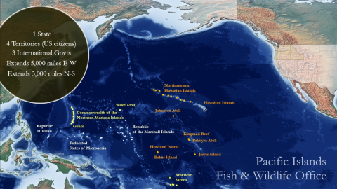 A map showing the Pacific Islands. The map shows the area of responsibility the Pacific Islands Fish and Wildlife Office hold across territories in the Pacific.