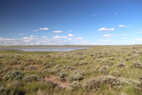 A mixed-grass prairie with sagebrush and a lake are shown under blue skies with white puffy clouds.