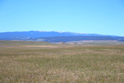 A vast short-grass prairie under blue skies with mountains in the background.