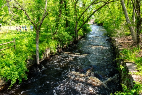 a dark river, punctuated by stones, flows between bright green, tree-lined banks