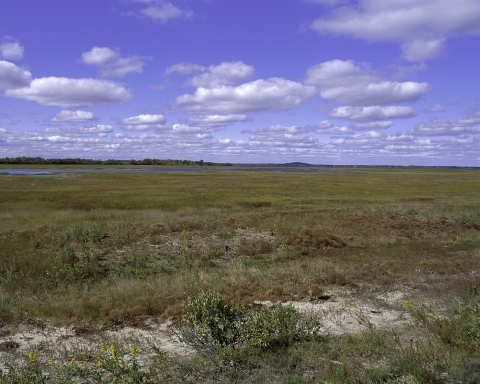 Parker River NWR, Newburyport, Massachusetts