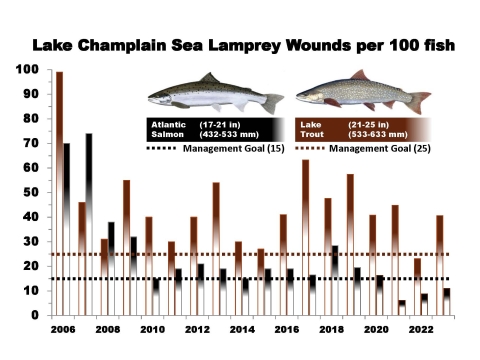 LCFWCO - SLC - 2023 Wounding Graph