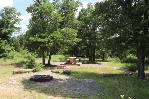 Campsite with fire ring and picnic table