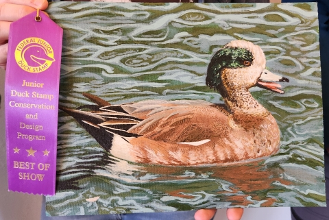 USFWS Announces Alaska Junior Duck Stamp Art Contest Results