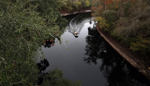 Biologists boat down the tannin-stained Suwannee River to check traps for Suwannee alligator snapping turtles. They will measure and weigh them before releasing them back into the river.