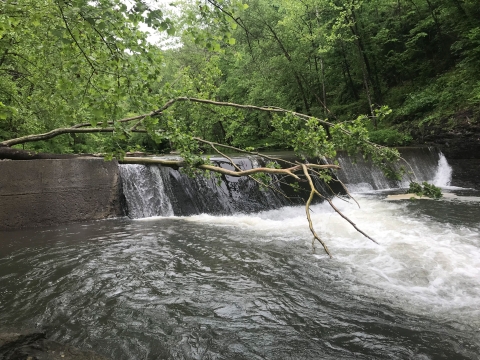 Scenic waterfall surrounded by lush trees and rocks in a serene forest setting.