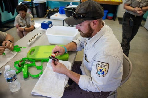 FWS biologist measures endangered Purple Cat's Paw mussel