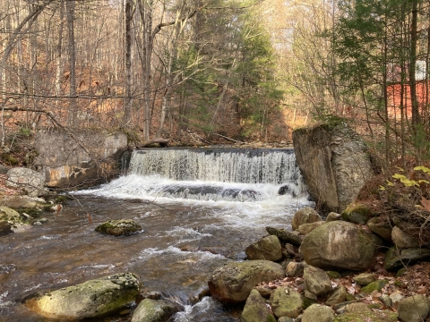 a waterfall in a forest