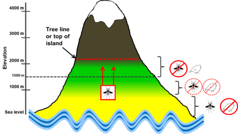 An infographic with a mountain and images of insects and birds to show the amount of space birds still have of mosquito free habitat.