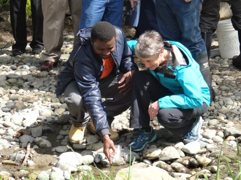 A young man and an older woman kneel and release salmon fry into water