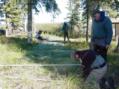 A man directs a group of people as they spread out a net and metal poles on the grassy ground with a lake, brush, and trees in the background.