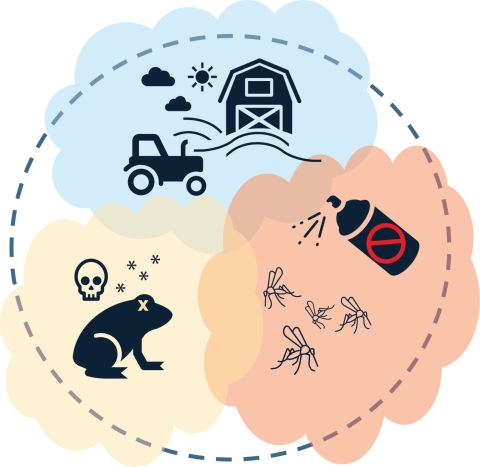 An illustration shows icons of the different contributing factors to the Wyoming toad's population decline including agricultural processes, spraying insecticides and illness in the Wyoming toad wild population.