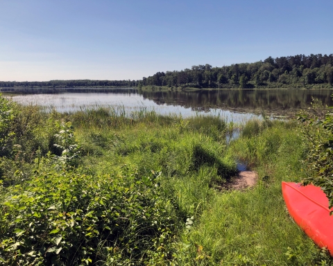 wetland with open water in summer and blue sky and a red canoe in the lower right of frame