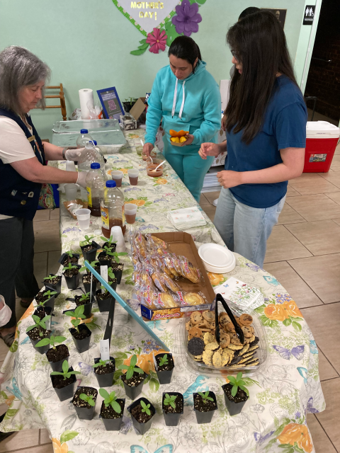 women having lunch at a mothers day event