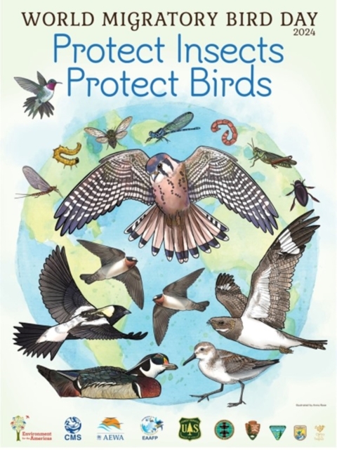 World Migratory Bird Day 2024. Protect Insects, Protect Birds