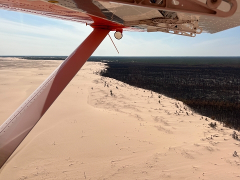 aerial view of sand and forest