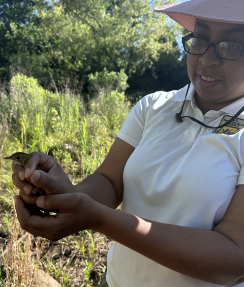 Ela Carpenter showing participants an ovenbird after removing it from a net
